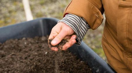 Some People Have a Unique Craving to ‘Eat’ Soil, They’ve Been Called 'Earth Eaters' Through History - Here’s Why