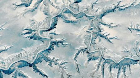 Mass Extinction Killed 85 Percent of Life on Earth 400 Million Years Ago, When Temperatures Dropped Extremely