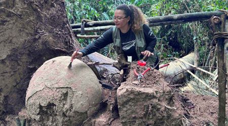 Royal Revelation: DNA Analysis Cracks 200-Year-Old Mystery of 'Lost  European Prince' - Front Page Detectives