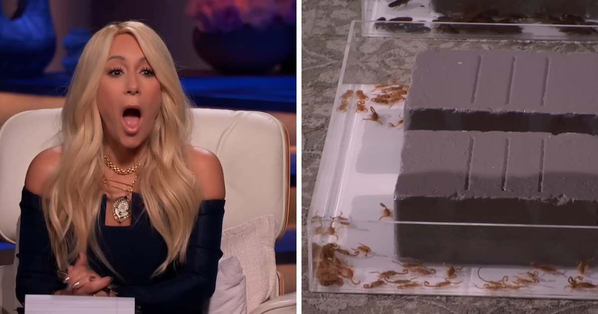 Startup brings live insects on ‘Shark Tank’ to prove a point — and walks away with deal no one expected