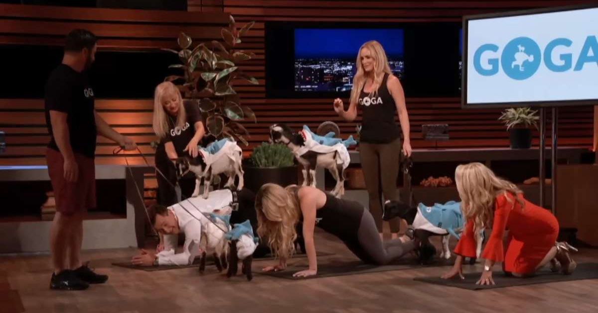 These founders brought baby goats to ‘Shark Tank’ and judges loved it — just not enough to invest