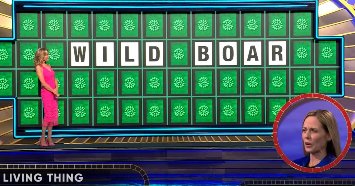 Despite winning trip to St Lucia, ‘Wheel of Fortune’ player couldn’t help but wince over losing huge cash