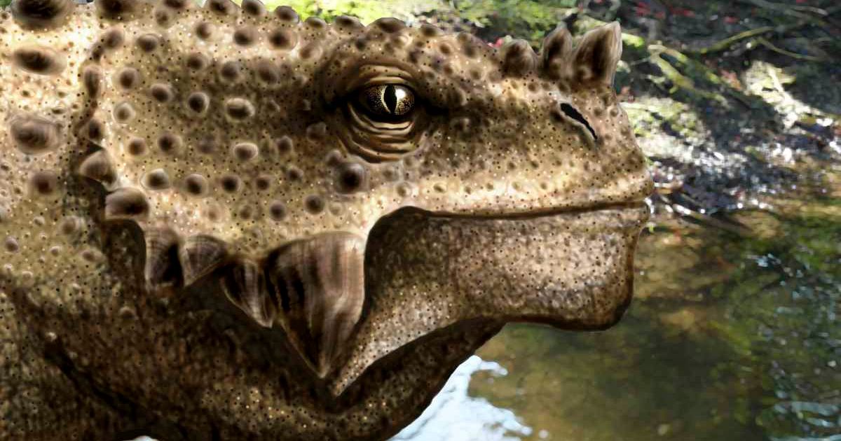 Close-up of the head of a Scutosaurus tuberculatus. - stock illustration (Representative Cover Image Source: Getty Images | Photo by 	Yuriy Priymak/Stocktrek Images)