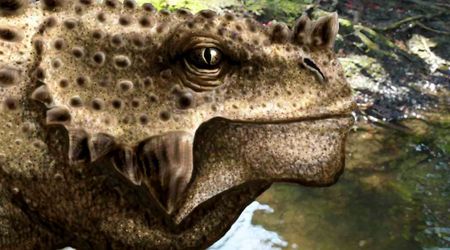 Scientists Discover Prehistoric Species From Northern China That Lived 259 Million Years Ago