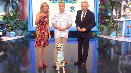 ‘Wheel of Fortune’ has a $154 secret mascot — and yes, it’s a dog with a surprisingly sweet legacy
