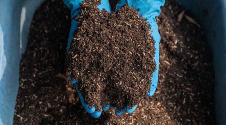 The Soil Is Not Getting The Nitrogen It Needs and That's Very Bad News For The Environment: Study
