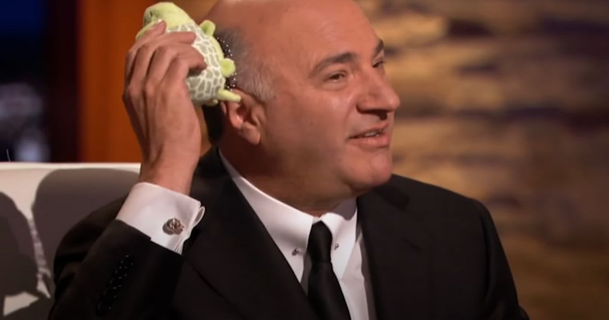 Mom wins over ‘Shark Tank’ with kids’ hairbrush pitch—even after making fun of Kevin O’Leary’s bald head