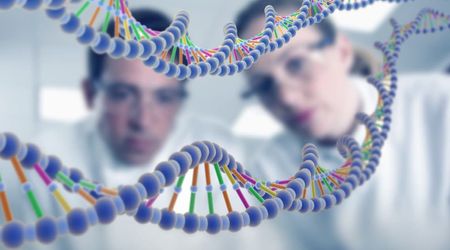 Sequences Deemed as ‘Junk DNA’ Play Prominent Role in the Functioning of Human Physiology, Study Suggests