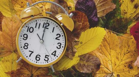 Is Climate Change Creating New Seasons? Earth May No Longer Have Just Four