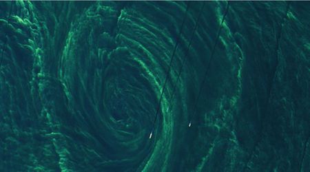 ‘Phytoplankton’ Bloom Turns Baltic Sea Into an Eerie Green in Photos Captured by Space Satellite