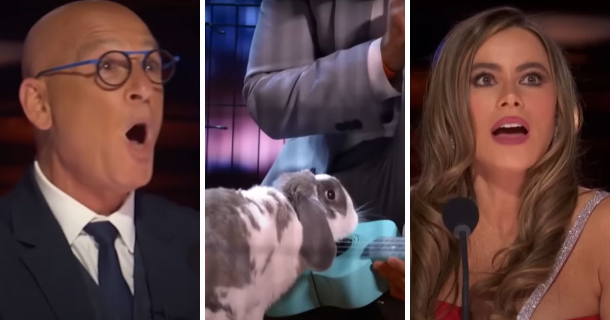 A rabbit just shot hoops and played ukulele on ‘AGT’ — you have to see this little star perform to believe it