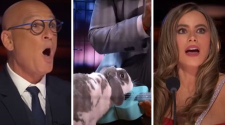A rabbit just shot hoops and played ukulele on ‘AGT’ — you have to see this little star perform to believe it