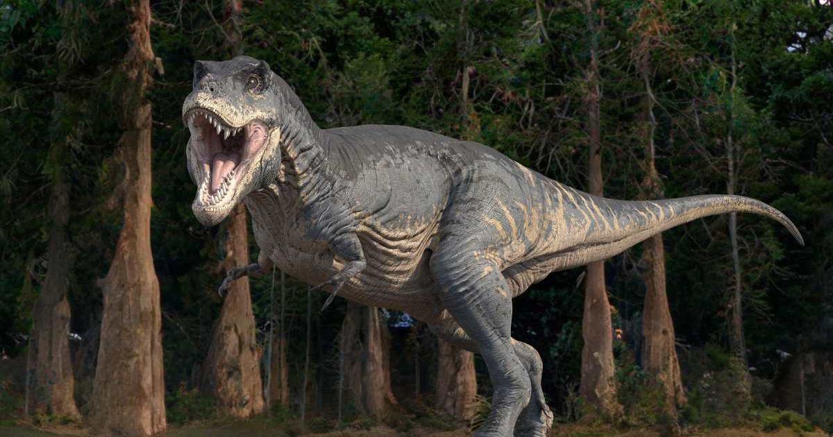 Tyrannosaurus rex dinosaur, illustration. (Representative Cover Image Source: Getty Images | Photo by ROGER HARRIS/SCIENCE PHOTO LIBRARY)