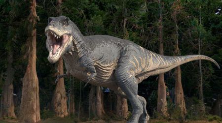 Dinosaur Teeth Reveals They Consumed Higher Carbon Dioxide Levels Than Today: Study