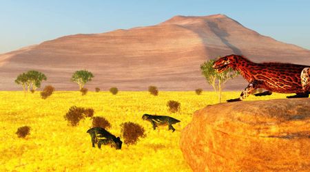 New Information About Survival During Permian and Extinction After ‘Great Dying’ Comes From Tanzania and Zambia