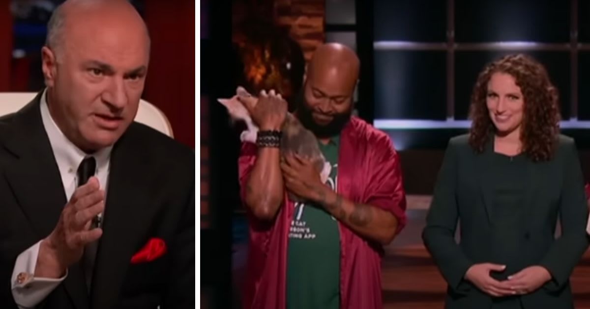 Dumped for having cats, these ‘Shark Tank’ contestants built a dating app for animal lovers — and won huge