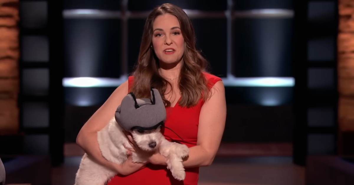 Contestant pitched a bold fix for dogs with anxiety — ‘Shark Tank’ passed, but she found success anyway