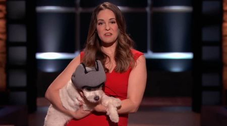 Contestant pitched a bold fix for dogs with anxiety — ‘Shark Tank’ passed, but she found success anyway