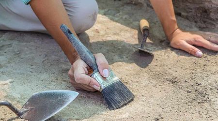 Researchers discovered three Bronze Age wicks in exceptional condition while building new neighborhood in Israel