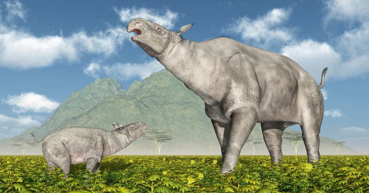 Adult Paraceratherium and baby Paraceratherium. (Representative Cover Image Source: Getty Images | Photo by MR1805)