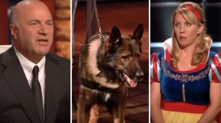 ‘Shark Tank’ judges stunned as contestant dressed as Snow White pitches bizarre Bluetooth speakers for pets