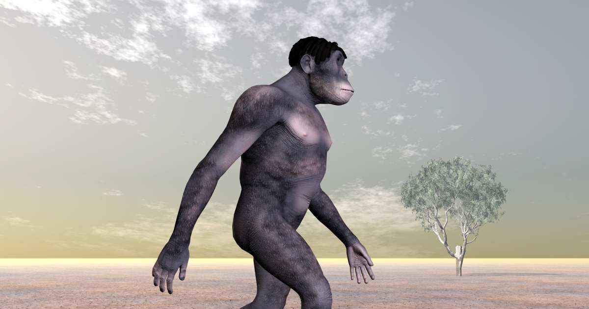 Homo Habilis - Human Evolution. (Representative Cover Image Source: Getty Images | Photo by MR1805)