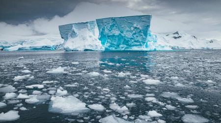 Researchers discovered a stunning, never-before-seen ecosystem in Antarctica's Lake Enigma