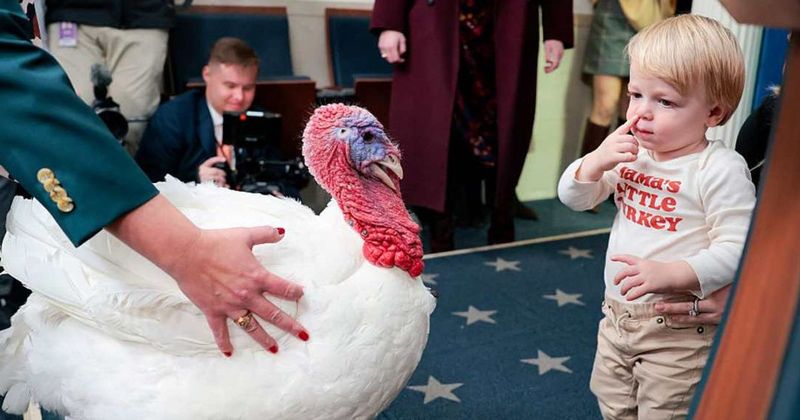 Karoline Leavitt’s son steals the show at White House turkey pardoning: 'Real star of the day'