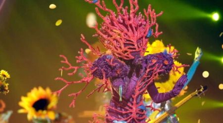 'The Masked Singer' Season 14 reveals show's first-ever 'Insider' amid bold new format twist