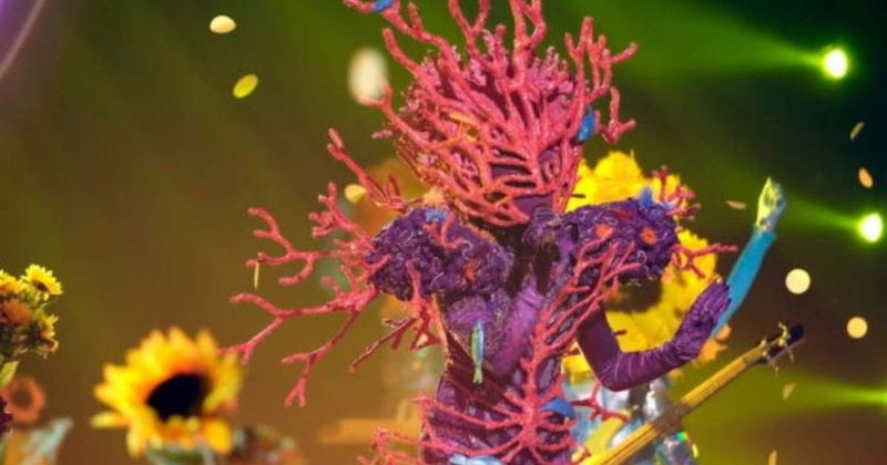 'The Masked Singer' Season 14 reveals show's first-ever 'Insider' amid bold new format twist