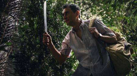 'Pluribus' fact check: Are Chunga palms really dangerous? Here's the truth behind those spiky trees