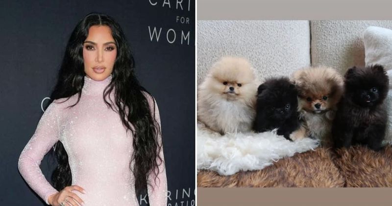 PETA slams Kim Kardashian for gifting each of her children a dog: 'Puppies are not plushies'