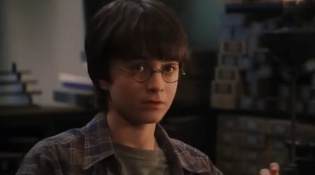 Returning original 'Harry Potter' stars reveals major difference between the movies and upcoming show