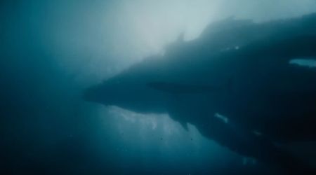 Terrifying 'Monarch: Legacy of Monsters' Season 2 trailer introduces Titan X