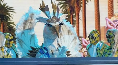 Who is Crane on 'The Masked Singer'? Wild Card clues from season 14 point to a '90s icon