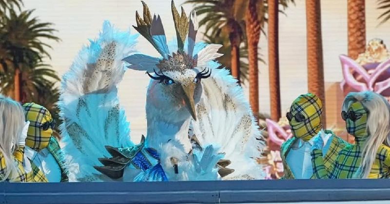 Who is Crane on 'The Masked Singer'? Wild Card clues from season 14 point to a '90s icon