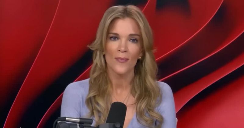 Megyn Kelly says she has no sympathy for Alex Pretti: 'He was not there to help'