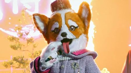 Queen Corgi exits 'The Masked Singer' Season 14 before elimination, leading to a surprise unmasking