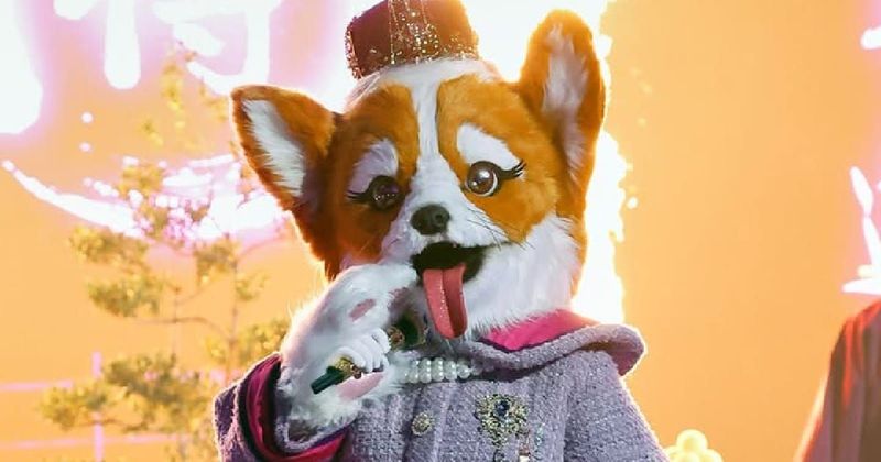Queen Corgi exits 'The Masked Singer' Season 14 before elimination, leading to a surprise unmasking