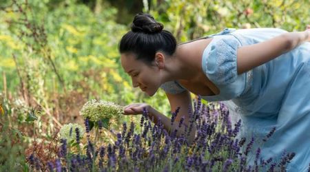 Netflix confirms ‘Bridgerton’ Season 4 Part 2 date as Benedict’s story unfolds and honestly we're hooked