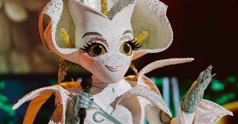 Who went home on 'The Masked Singer' tonight? A 'Real Housewives' star unmasked as a new wildcard arrives