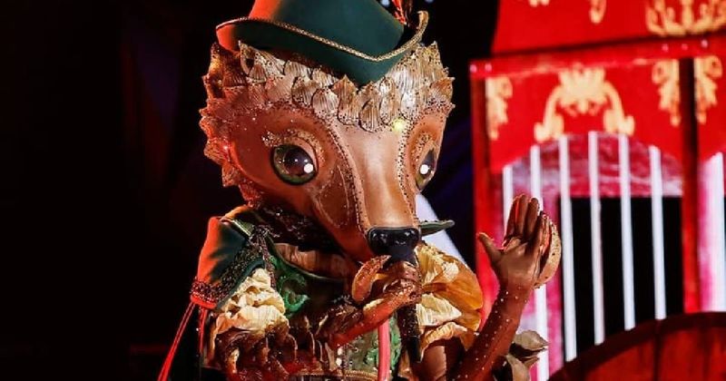 Who is Pangolin on 'The Masked Singer'? Season 14 wild card clues point to a chart-topping singer