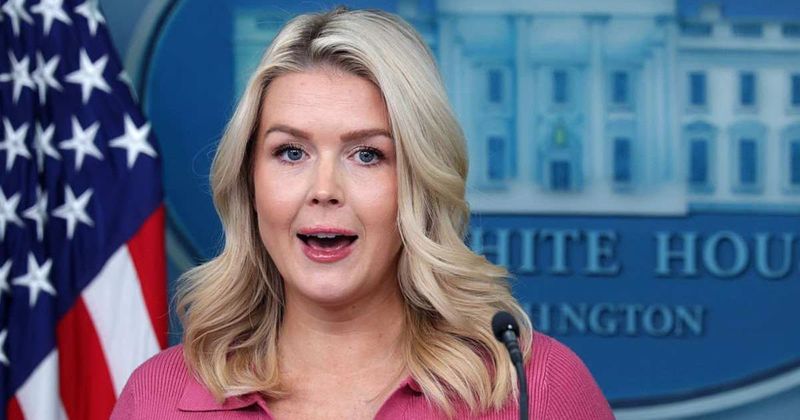 Leavitt explains Trump’s ‘softer touch’ as federal‑state partnership to keep deportations effective