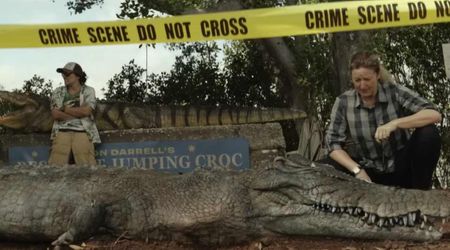 Prime Video drops chilling ‘Deadloch’ Season 2 trailer set in deadly tropical wilderness and it elicits chaos