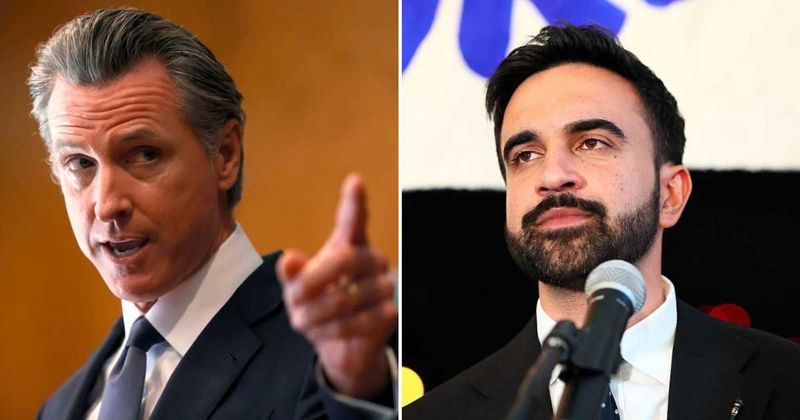 Fox News' Laura Ingraham bashes Zohran Mamdani, Tomi Lahren destroys Gavin Newsom on SAVE Act