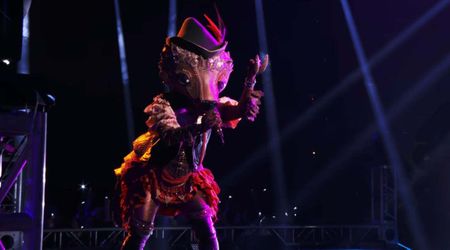 'The Masked Singer' Season 14: Who is Pangolin? Clues help judges narrow down to 3 award-winning artists