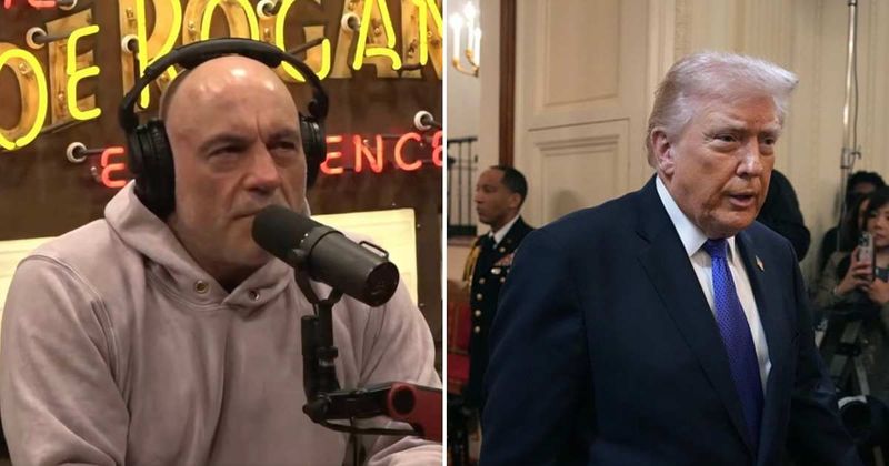 Joe Rogan says Trump supporters ‘feel betrayed’ by ‘senseless’ Iran war