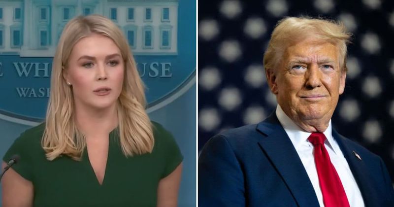 Leavitt calls Trump’s NATO push to secure Strait of Hormuz ‘common sense’