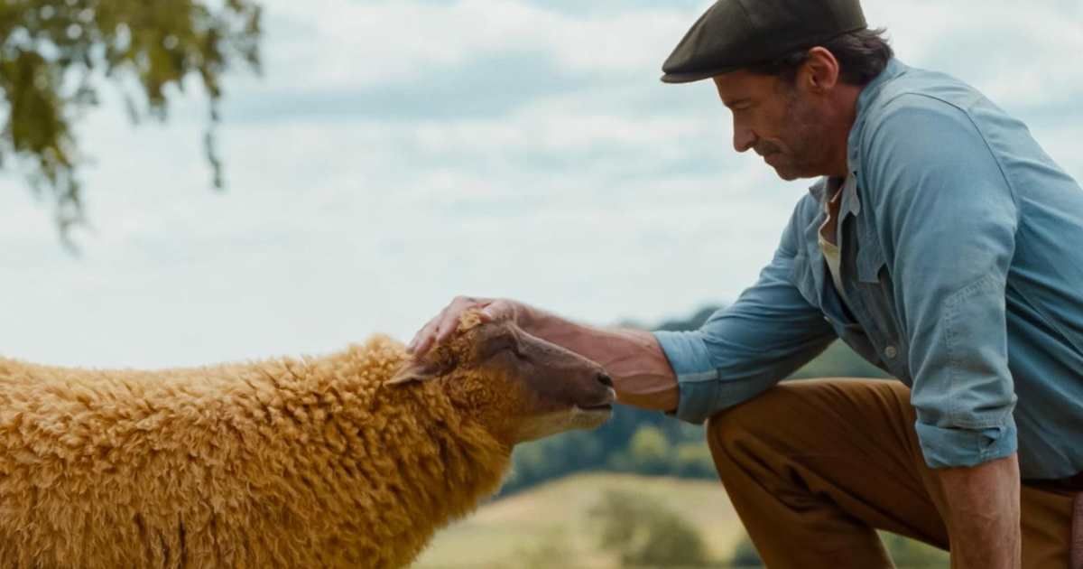 Hugh Jackman's 'The Sheep Detectives' drops new trailer as his flock investigates a murder 