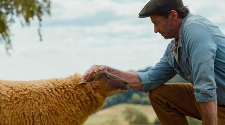 Hugh Jackman's 'The Sheep Detectives' drops new trailer as his flock investigates a murder 